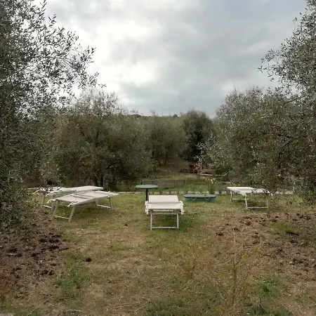 Agriturismo Green House *
