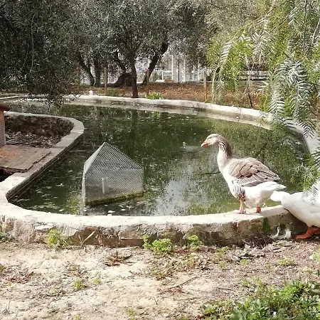 Agriturismo Green House * Santo Stefano al Mare